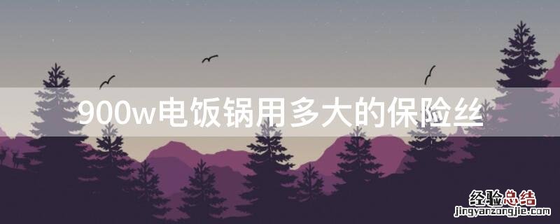 900w电饭锅用多大的保险丝 900w电饭锅用多少度的保险丝
