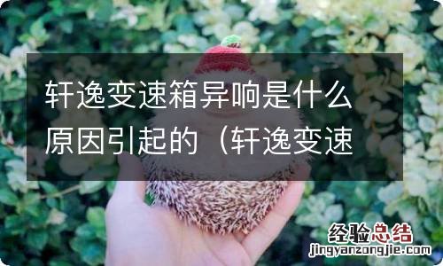 轩逸变速箱异响是什么原因引起的视频 轩逸变速箱异响是什么原因引起的