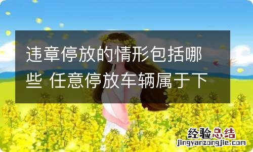 违章停放的情形包括哪些 任意停放车辆属于下列哪类违章?