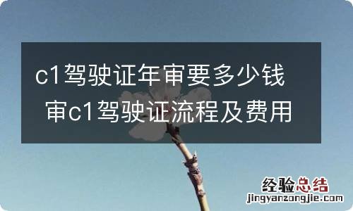 c1驾驶证年审要多少钱 审c1驾驶证流程及费用