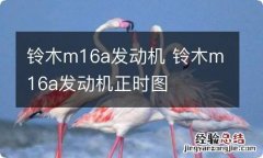 铃木m16a发动机 铃木m16a发动机正时图