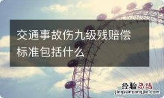 交通事故伤九级残赔偿标准包括什么