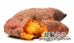 冬季保存红薯的最佳温度是多少 红薯冬季怎样室内保存