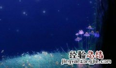 心情短语唯美10个字 心情短语唯美