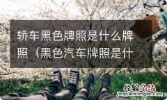 黑色汽车牌照是什么牌照 轿车黑色牌照是什么牌照