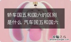 轿车国五和国六的区别是什么 汽车国五和国六怎么区别