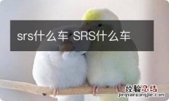 srs什么车 SRS什么车