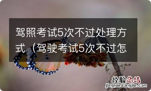 驾驶考试5次不过怎么办 驾照考试5次不过处理方式