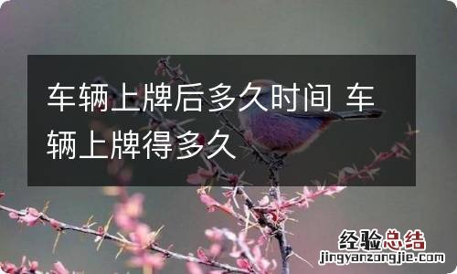 车辆上牌后多久时间 车辆上牌得多久