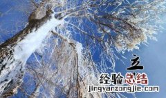 立冬是农历24个节气中的第几个节气 立冬是一年中第几个节气