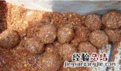 蒸熟的红薯如何做钓鱼窝料 红薯钓鱼窝料怎么做