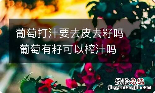 葡萄打汁要去皮去籽吗 葡萄有籽可以榨汁吗