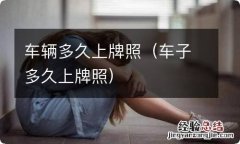 车子多久上牌照 车辆多久上牌照