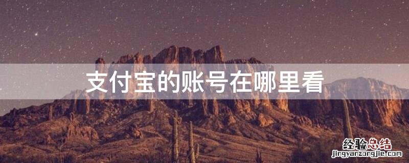 支付宝的账号在哪里看 支付宝的账号在哪里看到