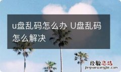 u盘乱码怎么办 U盘乱码怎么解决