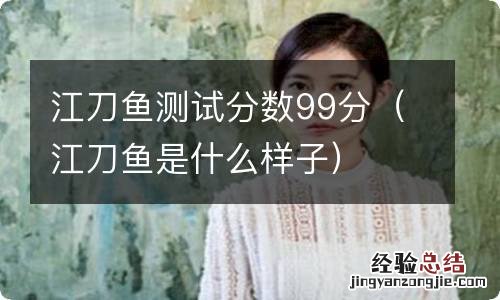 江刀鱼是什么样子 江刀鱼测试分数99分