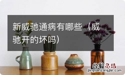 威驰开的坏吗 新威驰通病有哪些