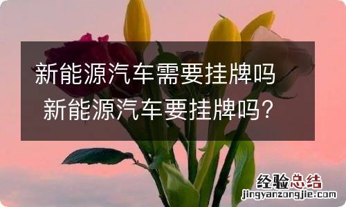 新能源汽车需要挂牌吗 新能源汽车要挂牌吗?需驾照吗