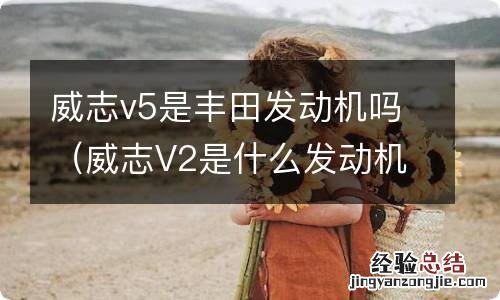 威志V2是什么发动机 威志v5是丰田发动机吗