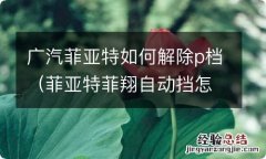 菲亚特菲翔自动挡怎么解P档 广汽菲亚特如何解除p档