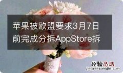 苹果被欧盟要求3月7日前完成分拆AppStore拆分 实现侧载功能