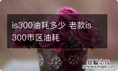 is300油耗多少 老款is300市区油耗