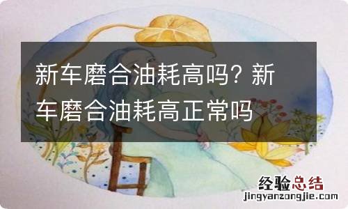 新车磨合油耗高吗? 新车磨合油耗高正常吗