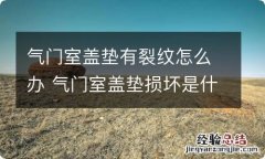 气门室盖垫有裂纹怎么办 气门室盖垫损坏是什么造成的