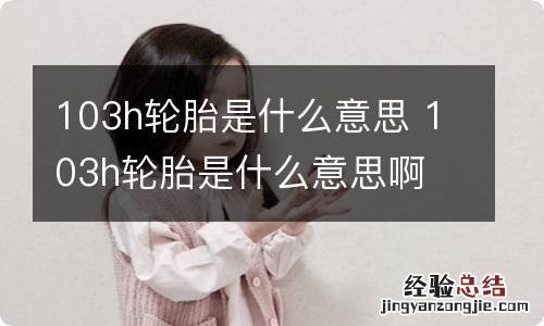 103h轮胎是什么意思 103h轮胎是什么意思啊