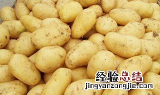 新土豆怎么保存方法 新土豆保存方法是什么