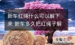 新车红绳什么可以解下来 新车多久把红绳子解掉