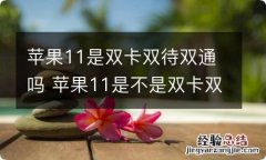 苹果11是双卡双待双通吗 苹果11是不是双卡双待双通