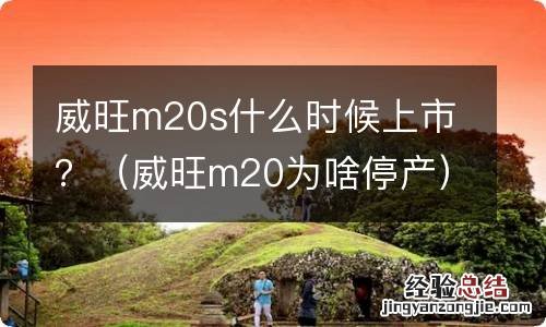 威旺m20为啥停产 威旺m20s什么时候上市？