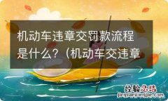 机动车交违章罚款怎么交 机动车违章交罚款流程是什么?