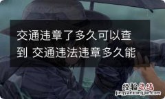 交通违章了多久可以查到 交通违法违章多久能查询到?