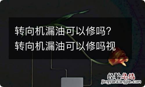 转向机漏油可以修吗? 转向机漏油可以修吗视频