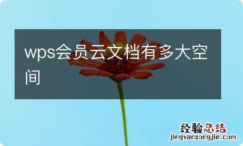 wps会员云文档有多大空间