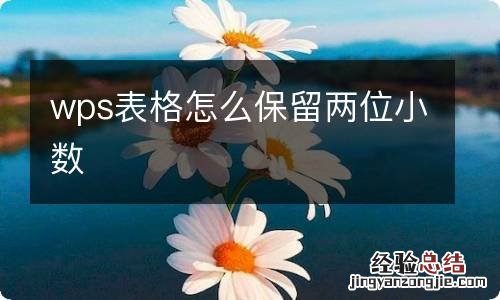 wps表格怎么保留两位小数