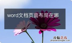 word文档页面布局在哪