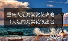 大足的海棠花很出名吗 重庆大足海棠赏花攻略