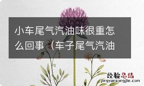 车子尾气汽油味重 小车尾气汽油味很重怎么回事