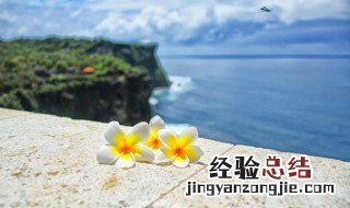 夏天说说心情短语经典 夏天说说心情短语经典文案