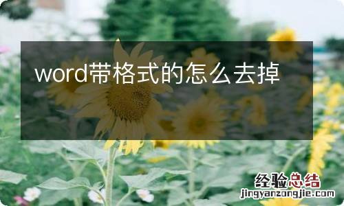 word带格式的怎么去掉