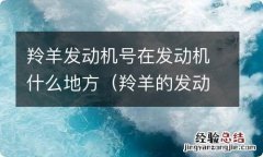 羚羊的发动机号在什么位置 羚羊发动机号在发动机什么地方