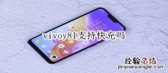 vivoy81支持快充吗