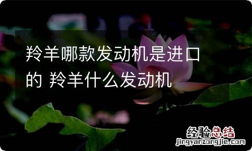 羚羊哪款发动机是进口的 羚羊什么发动机