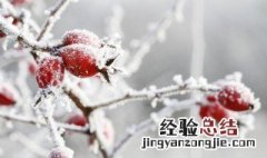 立冬时节有什么习俗