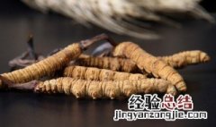 虫草泡酒可以泡几年 虫草泡酒一斤酒放几根