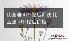 比亚迪e6补贴后价钱 比亚迪e6补贴后价格