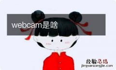 webcam是啥